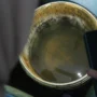 Masih Jadi Perhatian, Dinkes Jabar Sebut Peningkatan DBD Akan Terjadi di Musim Pancaroba