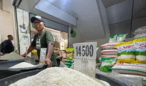 Beras dan Cabai Menjadi Penyumbang Inflasi Tertinggi, Pemda KBB Diminta Fokus Beras dan Cabai Menjadi Penyumbang Inflasi Tertinggi, Pemda KBB Diminta Fokus