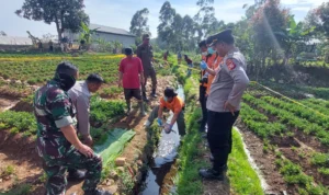 Geger! Temuan Jenazah Bayi Tersangkut di Saluran Air Ciwidey, Diduga Dibuang Setelah Lahir Geger! Temuan Jenazah Bayi Tersangkut di Saluran Air Ciwidey