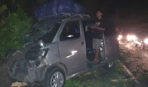 Mobil travel Luxio ringsek tertimpa pohon tumbang di wilayah Karangkamulyan Kabupaten Ciamis Jawa Barat. (istimewa)