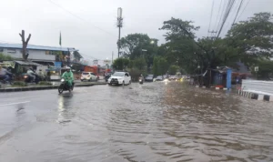 Catat 33 Kejadian Bencana Selama November 2023, BPBD Minta Warga Selalu Waspada Catat 33 Kejadian Bencana Selama November 2023, BPBD Minta Warga Selalu Waspada