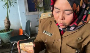 Geger! Kawanan Babi Hutan Masuk Pemukiman Warga di Padalarang Geger! Kawanan Babi Hutan Masuk Pemukiman Warga di Padalarang