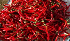 Tembus Rp100 Ribu per Kg, Harga Cabai di Bandung Barat Semakin Pedas