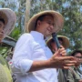 Jika Terpilih di 2024, Anies Baswedan Bakal Terapkan Kebijakan Ini untuk Petani!