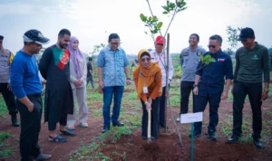 Penanaman pohon oleh Dirjen Gakkum KLHK dan UIII di kampus UIII, Kota Depok.