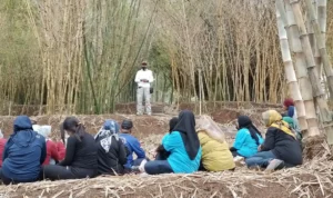 Tingkatkan Kesiagaan Masyarakat melalui Simulasi Kerelawanan Sosial Tingkatkan Kesiagaan Masyarakat melalui Simulasi Kerelawanan Sosial