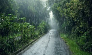Prediksi Cuaca Puncak Bogor Hujan, BMKG Citeko Minta Wisatawan Untuk Perhatikan Hal Ini Prediksi Cuaca Puncak Bogor Hujan, BMKG Citeko Minta Wisatawan untuk Perhatikan Hal Ini
