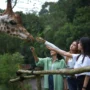 Buruan Serbu Promo Safari Bersama Pahlawan, Tiket Taman Safari Bogor Hanya Rp180 Ribu!