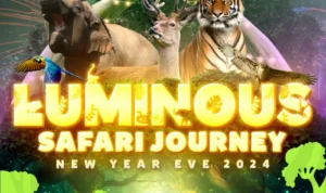 Taman Safari Bogor Bakal Gelar Luminous Safari Journey di Malam Tahun Baru 2024!