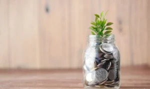 Ilustrasi Prediksi Contoh Soal TIU Bunga Bank SKD CPNS 2023, Cek Cara Menjawab dan Pembahasannya/ Pexels/ Towfiqu barbhuiya