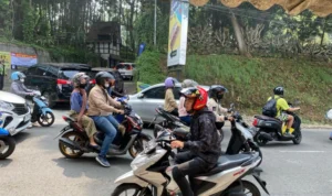 Sejumlah wisatawan dari luar daerah mulai memasuki kawasan wisata di Lembang, Kabupaten Bandung Barat. Jumat (29/12). Foto istimewa