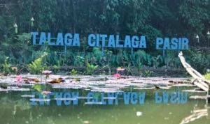 Wisata Talaga Citalaga Pasir Belum Dilirik Pengunjung Talaga Citalaga Pasir, ruang publik baru Kota Bandung di bagian utara.