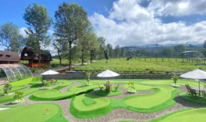 Goalpara Tea Park, destinasi wisata favorit baru di Sukabumi.