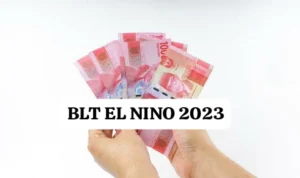 blt el nino 2023