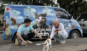 Melly Goeslaw Kolab Bareng Sobat Biru Langit, Hadirkan Program untuk Rescue Kucing / Istimewa