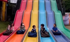 Rekomendasi Wisata di Bandung Untuk Liburan Akhir Pekan yang Menyenangkan Salah satu rekomendasi wisata anak di Bandung. (instagram @FarmHouselembang)