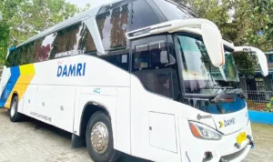 Rute dan Harga Tiket DAMRI Tangerang, Jakarta, Yogyakarta Terbaru 2023 Ilustrasi Rute dan Harga Tiket DAMRI Tangerang, Jakarta, Yogyakarta Terbaru 2023/ Tangkap Layar Instagram @damriindonesia