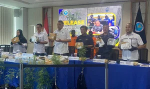 BNNP Jabar membongkar praktik budidaya tanaman ganja di sebuah rumah oleh pelaku seorang pria di wilayah Pondok Gede, Kota Bekasi.