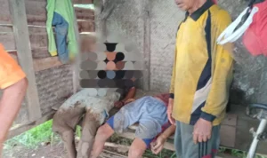 Sedang Berteduh di Saung, Dua Petani Tewas Tersambar Petir Sedang Berteduh di Saung, Dua Petani Tewas Tersambar Petir