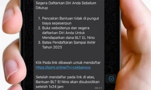 Link Hoaks Pendaftaran BLT El Nino 2023, Masyarakat Diharap Waspada/ Tangkap Layar Instagram @kemensosri