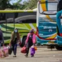 Ilustrasi/ Program Mudik Gratis Nataru dari Kemenhub/ ANTARA FOTO/Fauzan