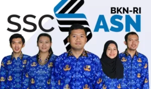 Pengumuman PPPK Guru Diundur 22 Desember, Ini Alasannya/ Dok. SSCASN BKN