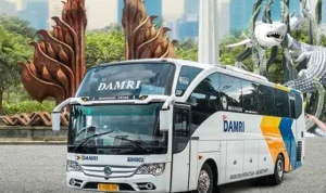 Ilustrasi/ Cek Jadwal dan Lokasi Terbaru Pool Damri Cawang Jakarta 2023/ Tangkap Layar Instagram @damriindonesia