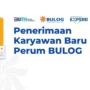 Seleksi Penerimaan Karyawan Perum Bulog 2023, Berikut Contoh Gambaran Soal Tes Intelegensi/ Tangkap Layar bulog.experd.com