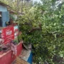 3 Kecamatan di KBB Dilanda Bencana dalam Sehari, Longsor hingga Pohon Tumbang