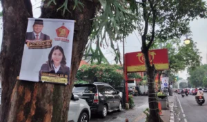 Masa Kampanye Pemilu 2024, Banyak APK Dipaku di Pohon