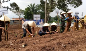 Terus Tekan Angka Inflasi, Pemkot Cimahi dan Bank Indonesia Serahkan 5.000 Bibit Cabai