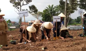 Paguyuban Pasar Rakyat Cimahi Akan Berperan Sebagai Pemborong Bagi Para Petani Paguyuban Pasar Rakyat Cimahi Akan Berperan Sebagai Pemborong Bagi Para Petani
