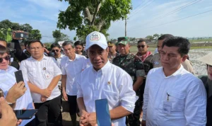 Menteri Pertanian Pastikan Stok Pangan Aman Jelang Akhir Tahun