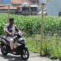 KOMITMEN: Perda RTRW 2022-2042 merupakan bentuk keseriusan Pemprov Jabar dalam menjaga lahan pertanian.
