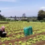 Antisipasi Penurunan Lahan, DPKP KBB Lakukan Kajian di Dua Kecamatan Wilayah Selatan