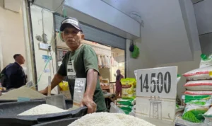 Beras dan Cabai Masih Mahal, Tapi Pemda KBB Klaim IPH Turun