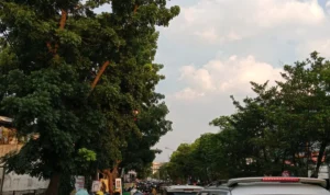 BREAKING NEWS! Mobil Seruduk Motor di Jalan Terusan Jakarta Kondisi kemacetan di Jalan Terusan Jakarta, Kamis 21 Desember 2023.