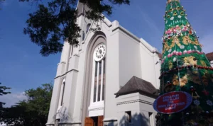 Melihat Persiapan Natal 2023 di Gereja Katedral Santo Petrus Bandung Pohon Natal setinggi 17 meter sudah terlihat di Gereja Katedral Santo Petrus Bandung (Sadam Husen / JE)