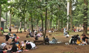 Geliat Libur Natal dan Tahun Baru di Kebun Binatang Bandung