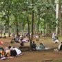 Geliat Libur Natal dan Tahun Baru di Kebun Binatang Bandung