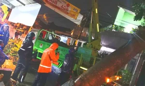 Pohon Tumbang di Jalan Kamarung Cimahi, Ini Penyebabnya
