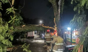 Hujan Lebat Saat Natal, Pohon-Pohon Tumbang di Sejumlah Wilayah Kota Bandung