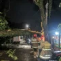 Hujan Lebat Saat Natal, Pohon-Pohon Tumbang di Sejumlah Wilayah Kota Bandung