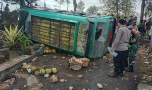 Microbus atau elf yang terguling akibat kurang berhati-hati hingga menabrak seorang pejalan kaki hingga tewas di Rancabali, Kabupaten Bandung, Jumat (29/12/2023). Foto Dok Humas Polsek Ciwidey
