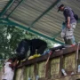 Kerap Terjadi Persoalan, Pj Gubernur Instruksikan Seluruh Bupati Walikota soal Pengolahan Sampah Tahun Baru