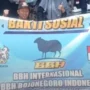 Investasi BBH yang diduga bakal scam karena sudah tidak bisa diakses lagi. (ist)