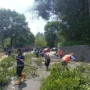 BPBD Kabupaten Sumedang bersama instansi terkait melakukan pemangkasan pohon di sepanjang jalan Cadas Pangeran, Rabu (13/12).
