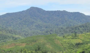 Pasca Gempa di Bogor, PVMBG Peringatkan Erupsi Gunung Salak