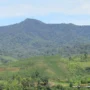 Pasca Gempa di Bogor, PVMBG Peringatkan Erupsi Gunung Salak