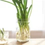 3 Rahasia Simpan Daun Bawang, Dijamin Bikin Awet!